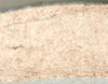 Refined Earthenware paste type cross section example