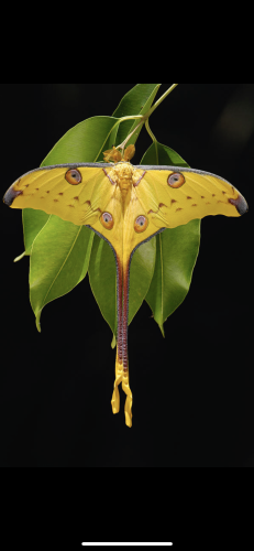 Madagascar_fieldwork