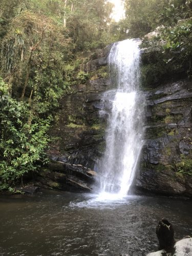 Madagascar_fieldwork
