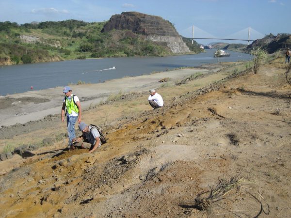Alex Hastings and Fabiany Herrera dig in Panama