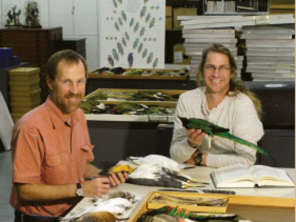 David Steadman and Andrew Kratter