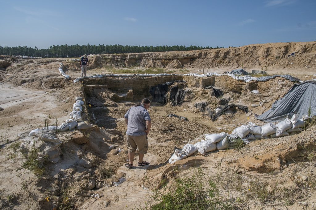 Paleontologist examines the mud washed into the fossil site