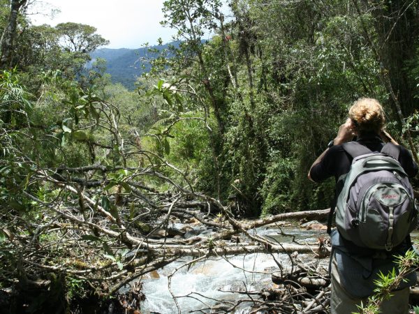 researcher looking over Andes landscape