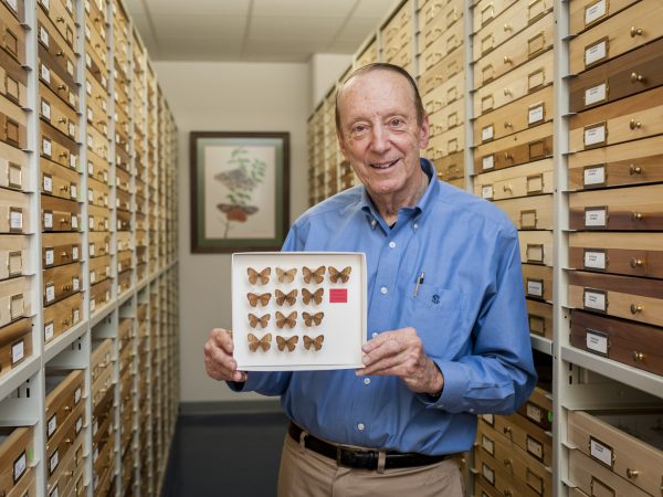 Portrait of a researcher in a Florida Museum collection