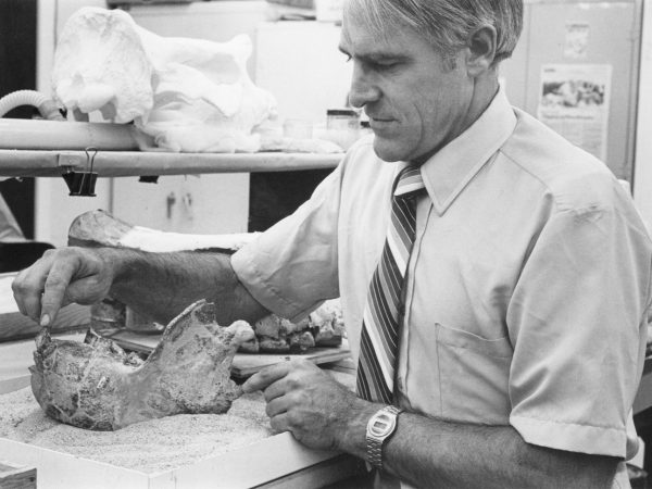 black and white image of David Webb