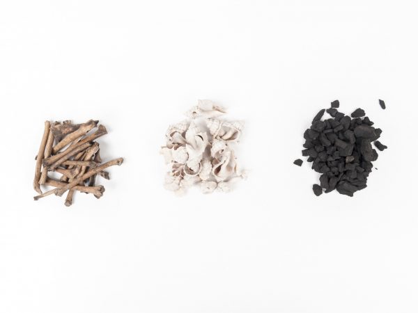 three piles, one of bones, one of shells, one of charred plant remains