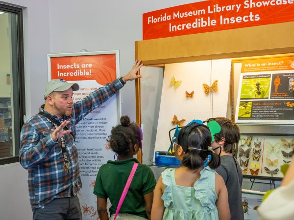 Museum Education outreach staff present shows three children items on display in the library