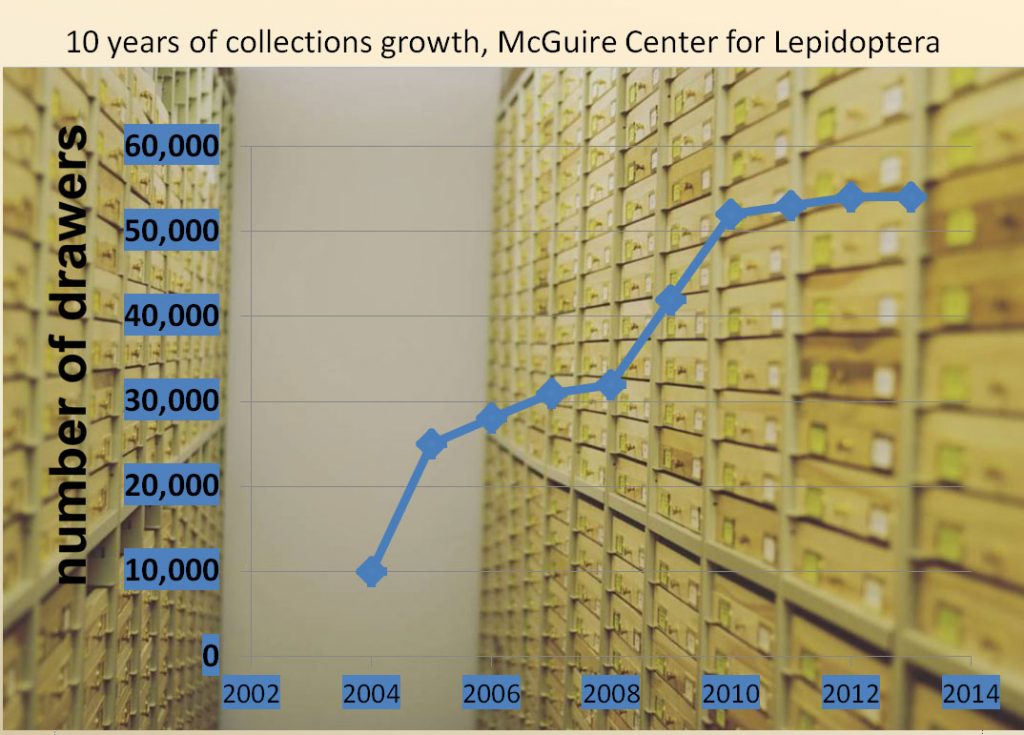 chart showing large growth curve