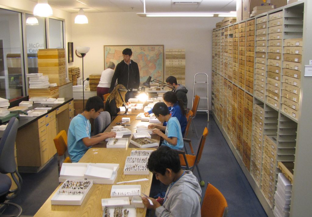 seven students at long table processing specimens