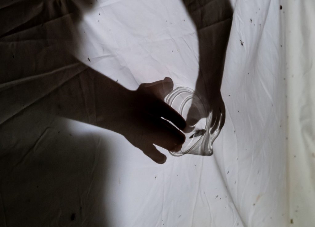 A shadow of someone catching an insect